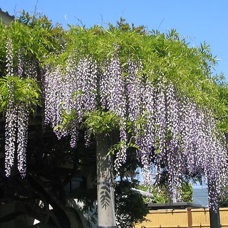 ホテル Shougen Sansou 玉名市 エクステリア 写真